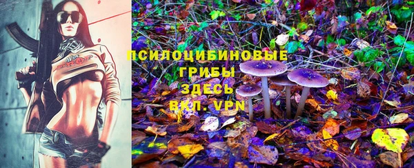 круглые Белокуриха