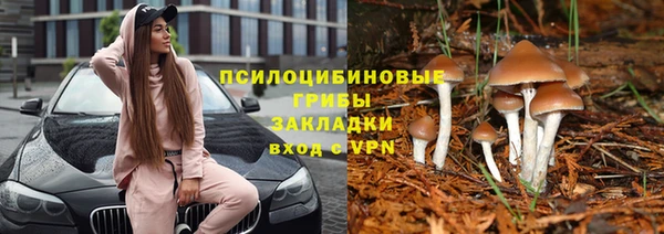 круглые Белокуриха