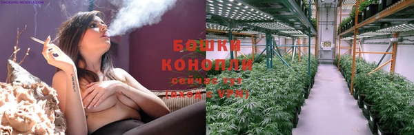 круглые Белокуриха