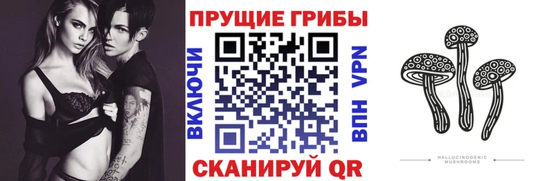 Псилоцибиновые грибы ЛСД цены наркотик Вязники