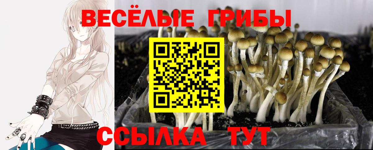 Альфа ПВП Вязники