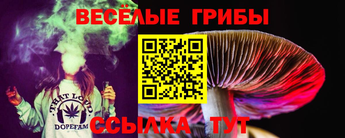Галлюциногенные грибы мицелий  Псилоцибиновые грибы GOLDEN TEACHER  Вход с VPN  Вязники 